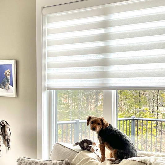 Premium Textured Light Filtering Zebra Blinds / Dual Sheer Shades | MIFU Decor