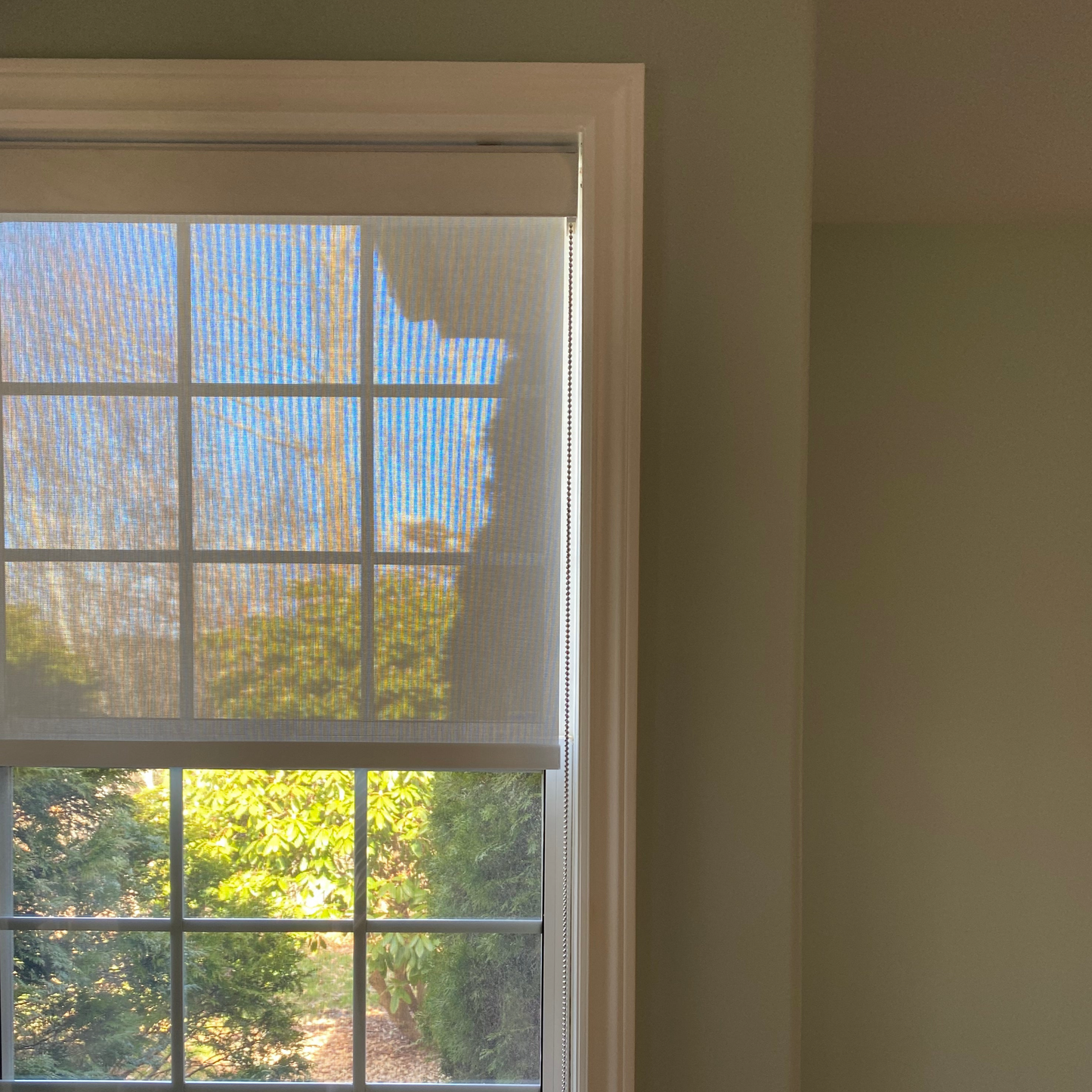 Clear Vision Fire Retardant Sunscreen Light Filtering Roller Shades