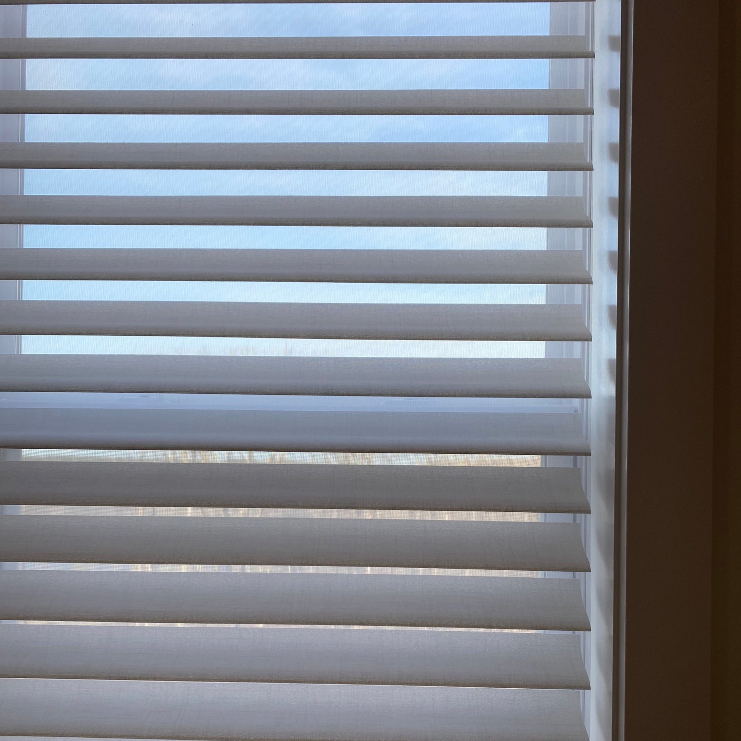 Premium Pattern Light Filtering Sheer Shade