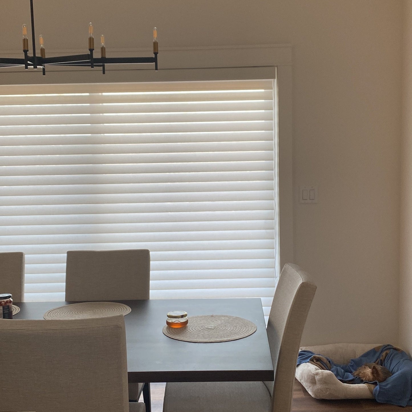 Premium Pattern Light Filtering Sheer Shade