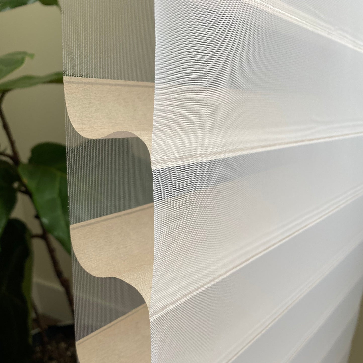 Classic Light-Filtering Sheer Shades