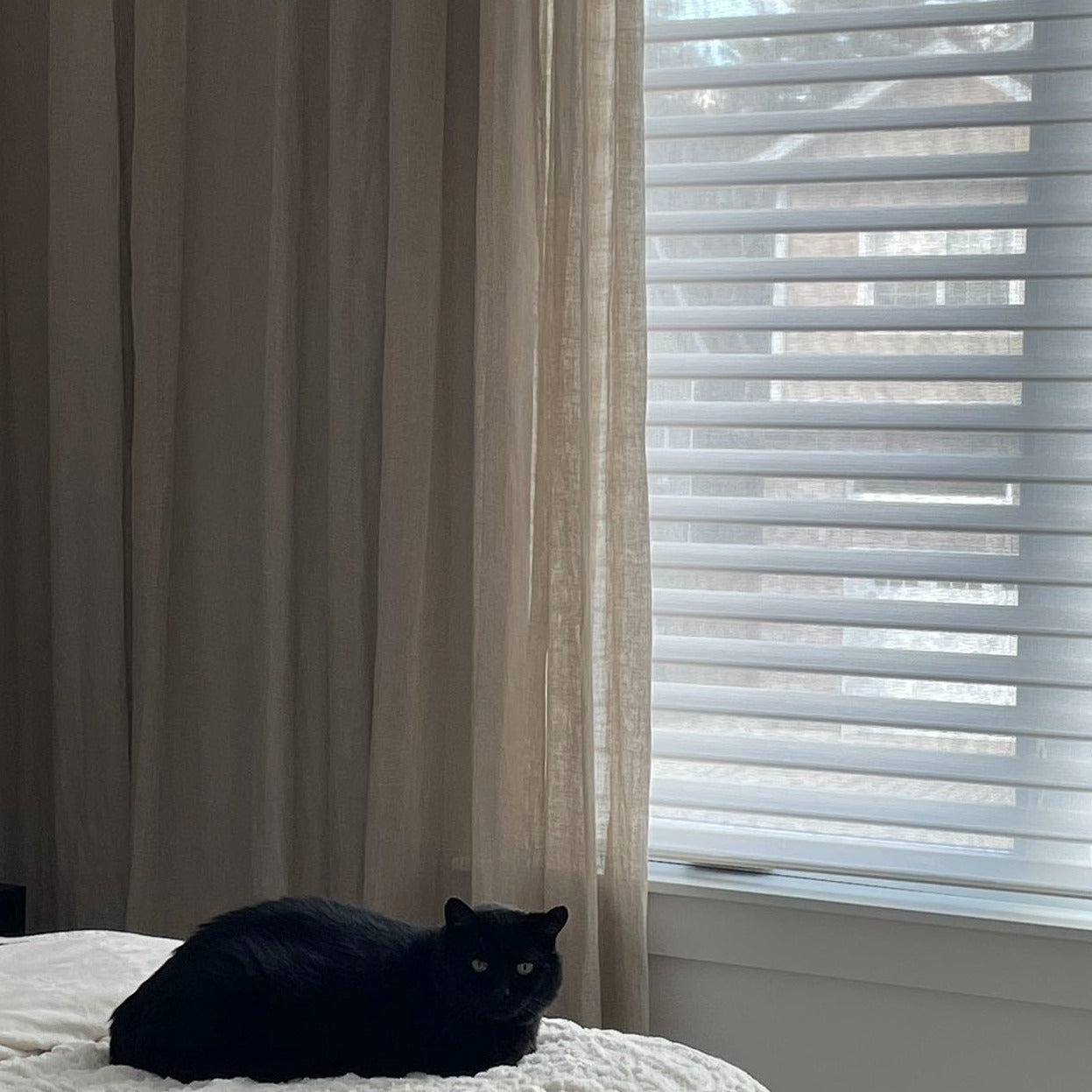 Classic Room Darkening Sheer Shade